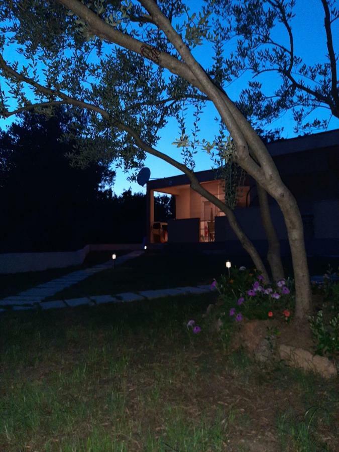 Apartmani Lea ستاريغغاد باكلينتسا المظهر الخارجي الصورة