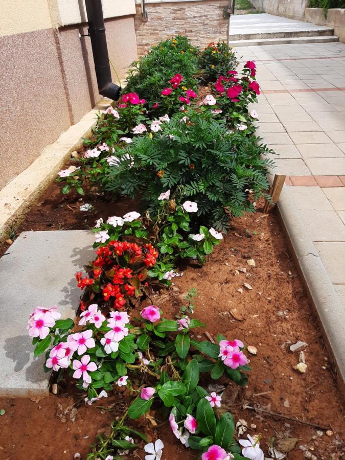 Apartmani Lea ستاريغغاد باكلينتسا المظهر الخارجي الصورة